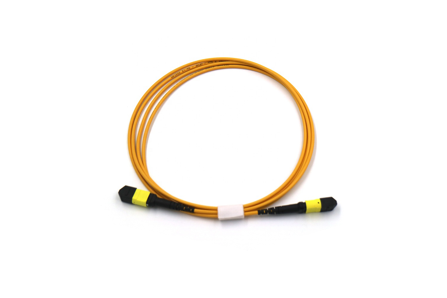 12 Core MPO Trunk Cable 4
