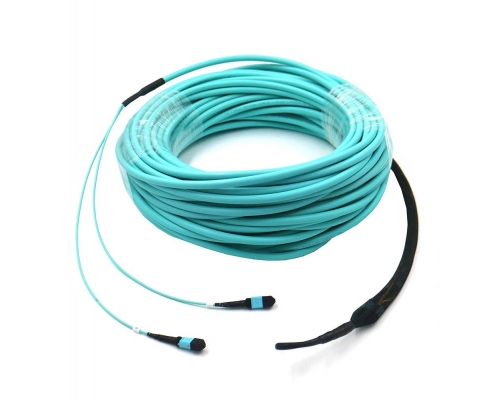 24 Core Mpo Patch Cord 8