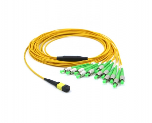 MTP FCAPC Cable 10