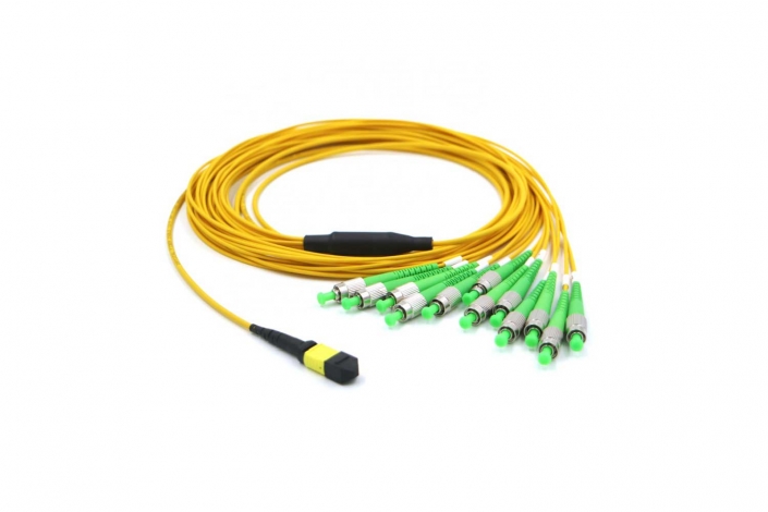 MTP FCAPC Cable 10