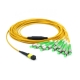 MTP FCAPC Cable 10
