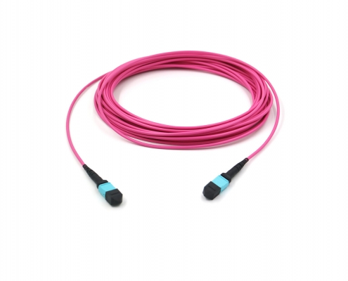 trunk patch cord
