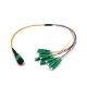 Mpo Lc Apc Harness 3