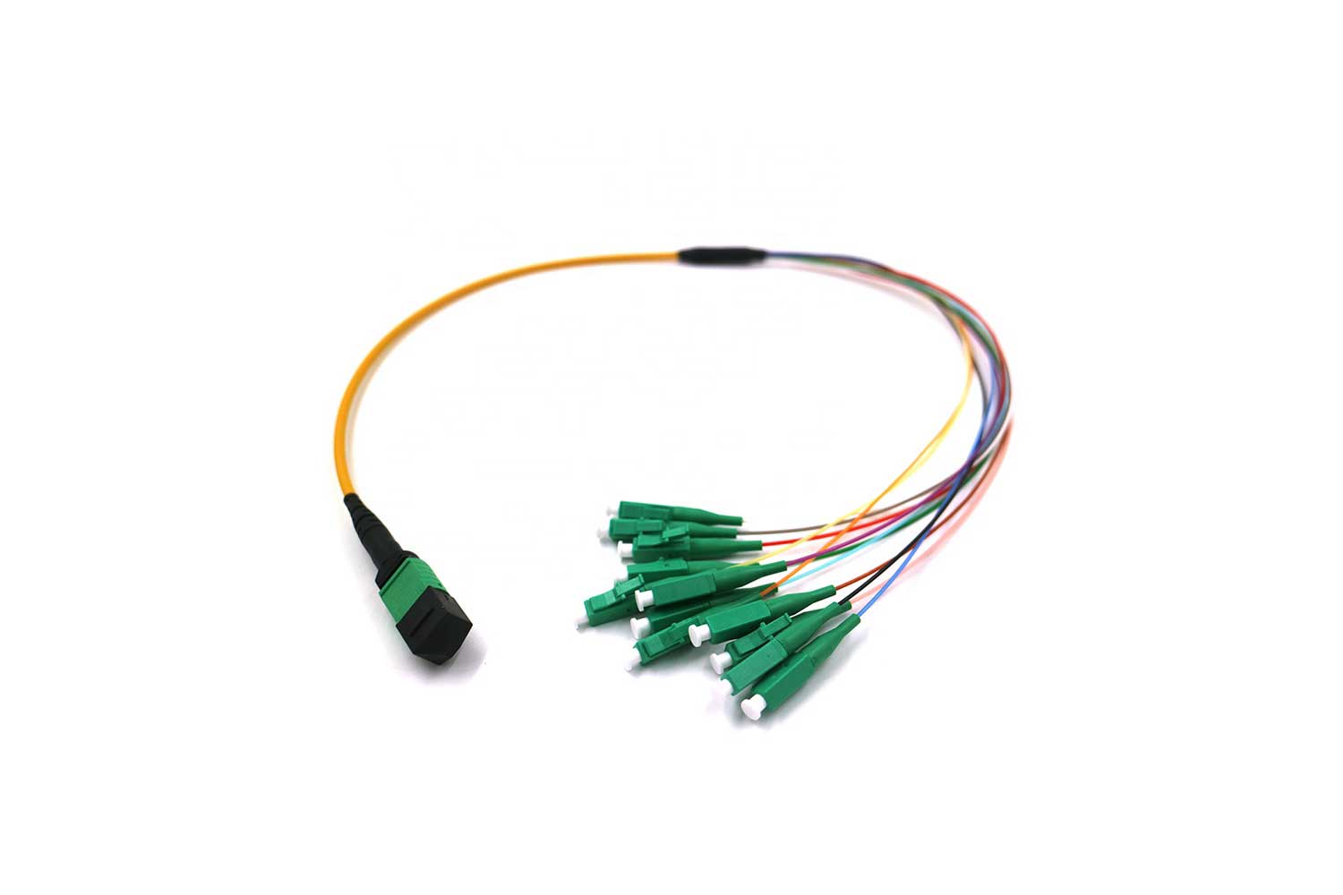 12Core MPO/MTP to LCAPC SM Harness Cable - Spring Optical