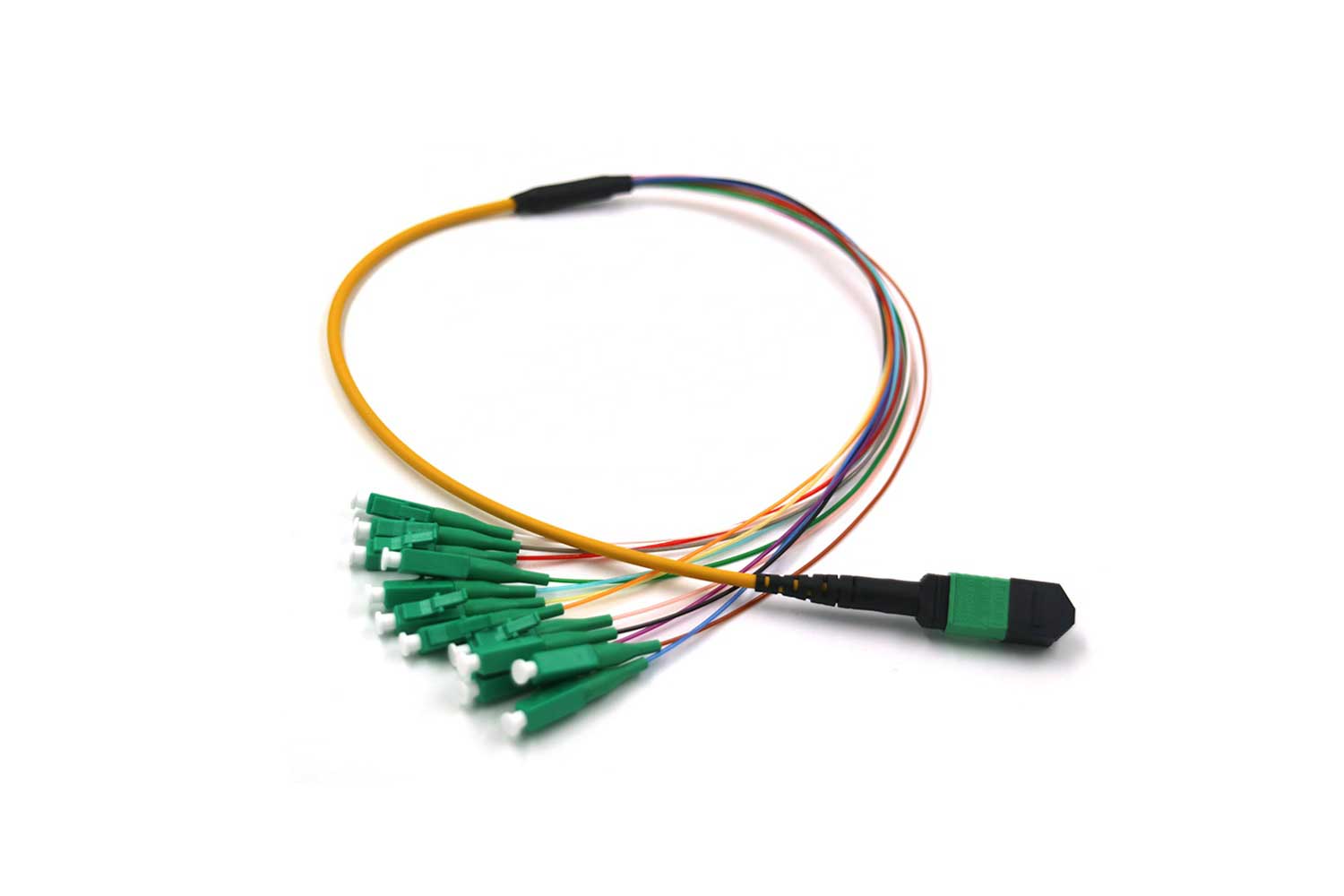 12Core MPO/MTP to LCAPC SM Harness Cable – Spring Optical